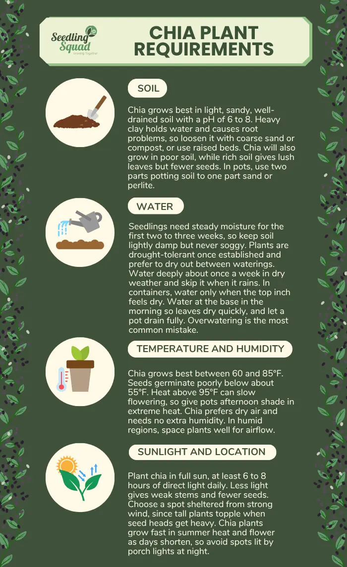 Chia Plant Requirements infographics