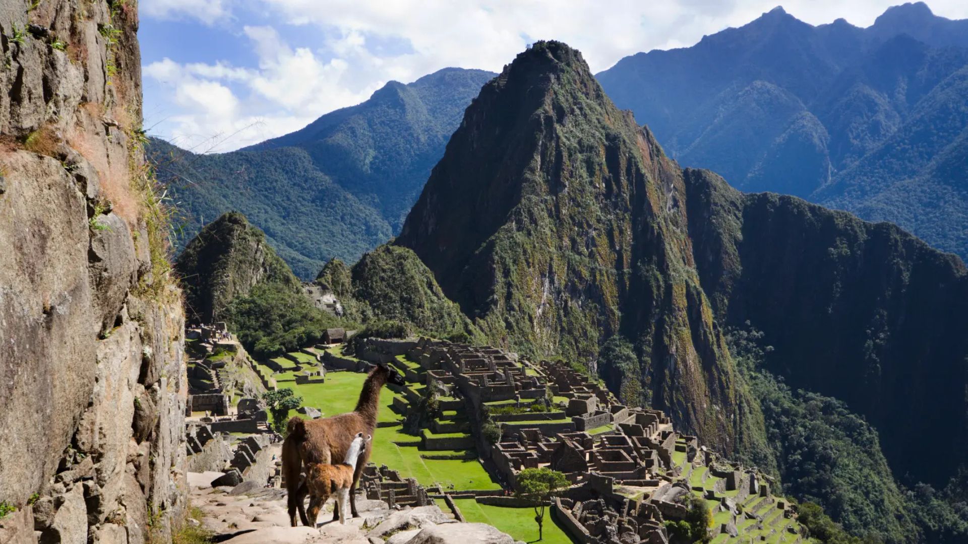 Machu Picchu
