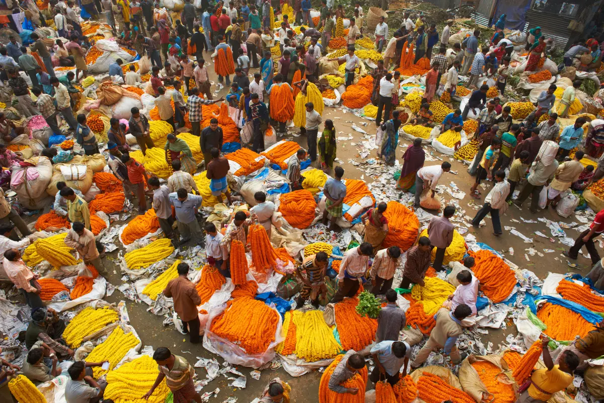 Kolkata flower market