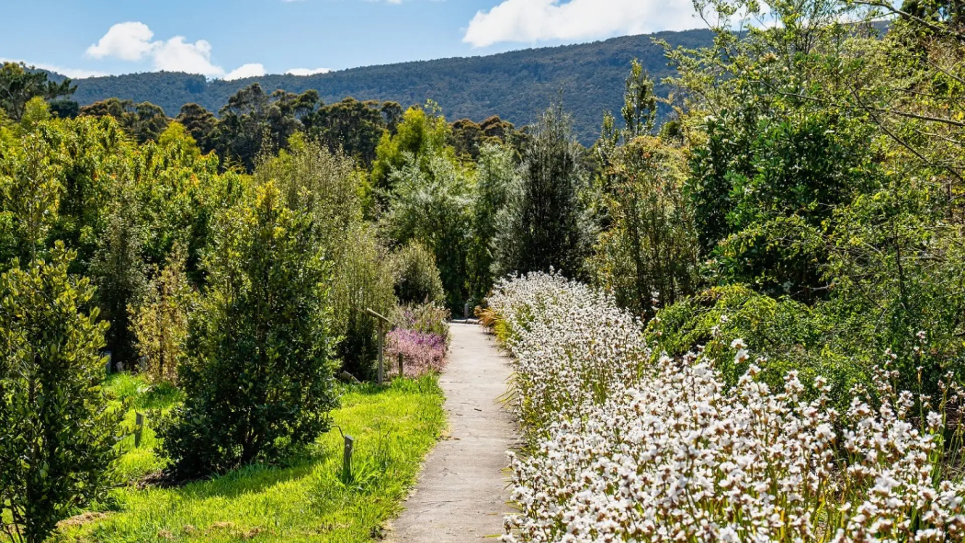 Inala Jurassic Garden