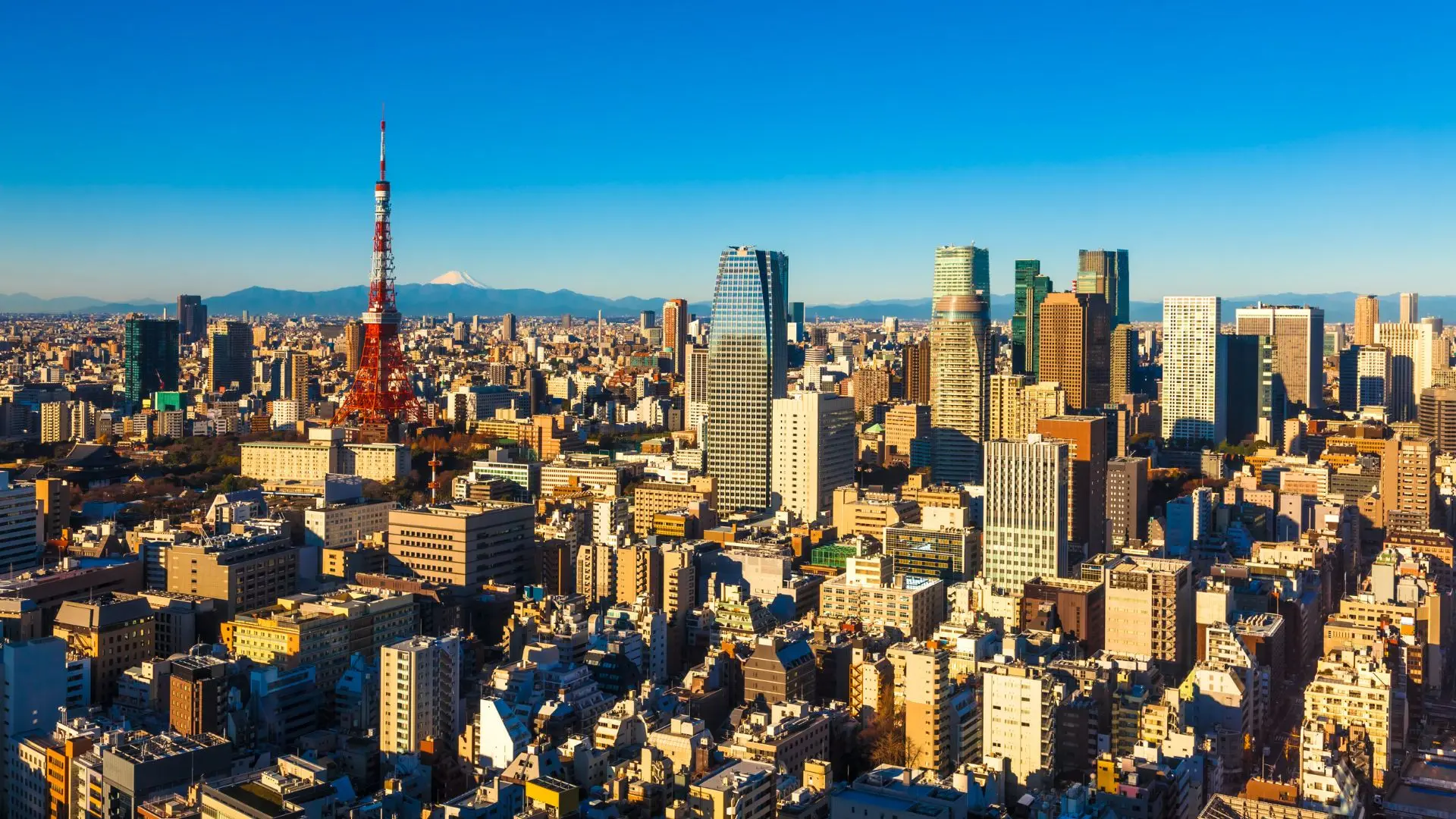Tokyo Skyline with Fuji