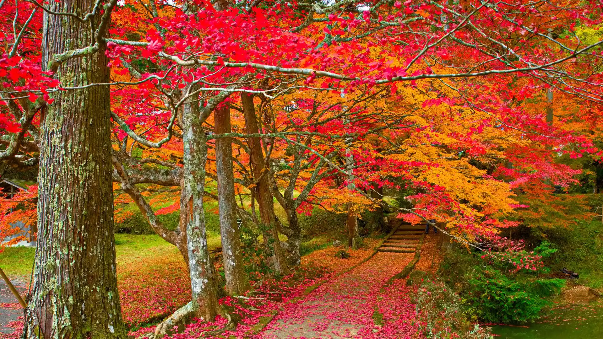 Kyoto in autumn