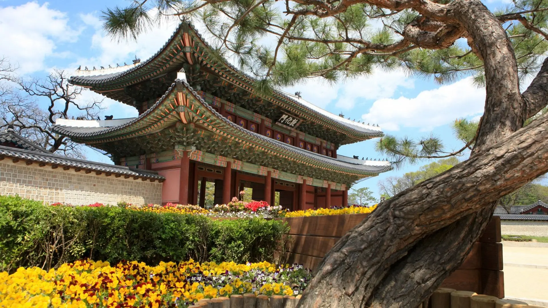 Visit UNESCO-listed Changdeokgung Palace, Seoul