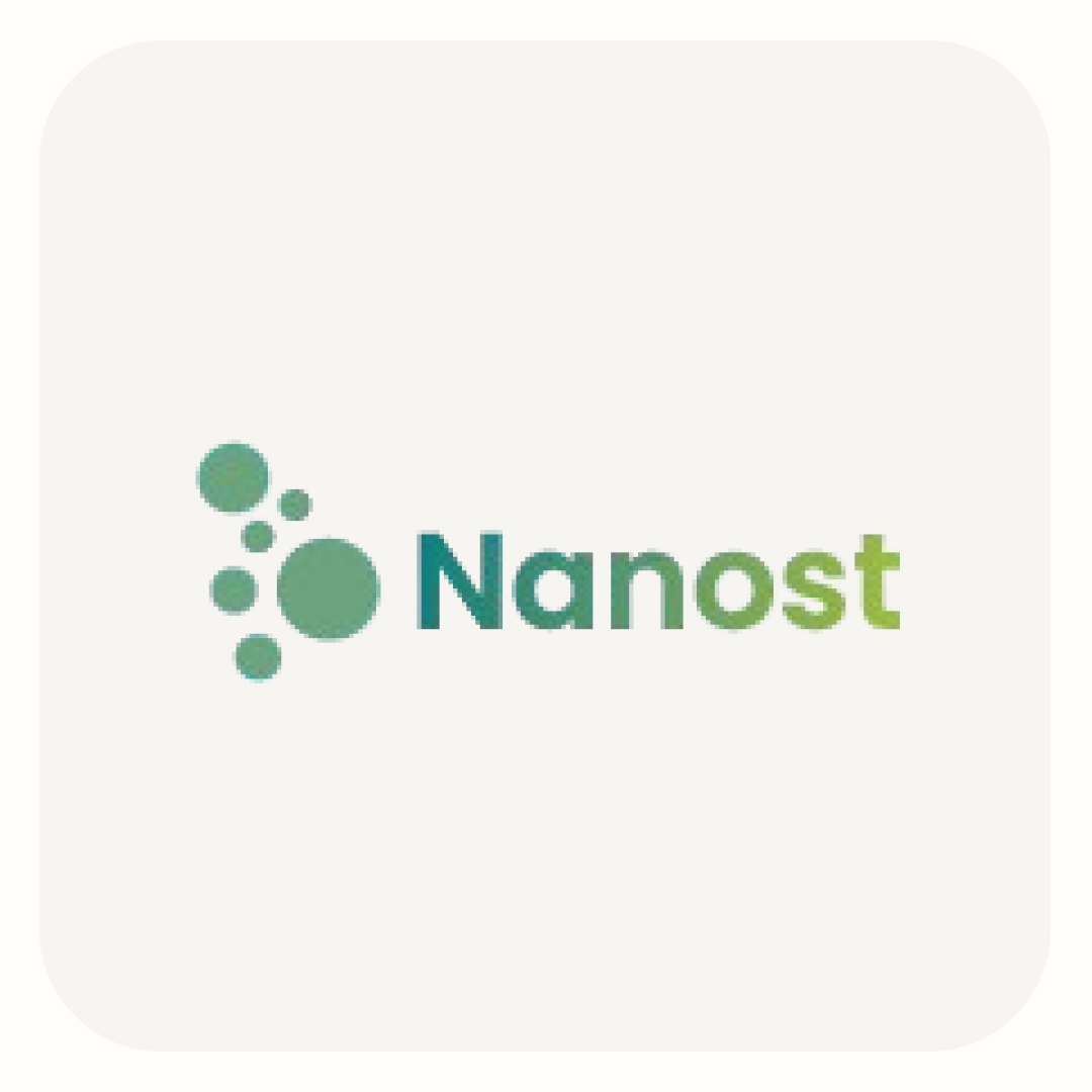 Nanost