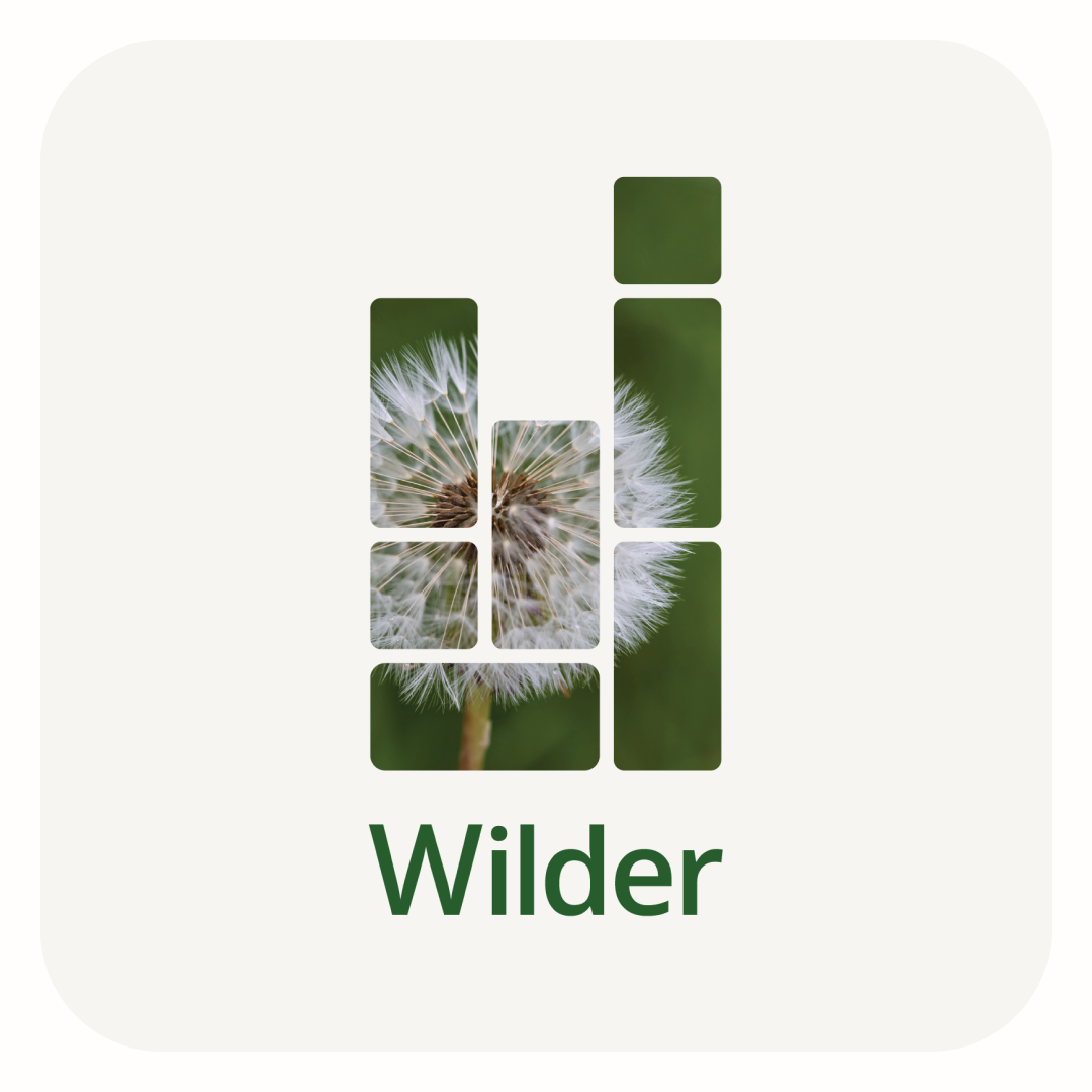 Wilder City C.I.C