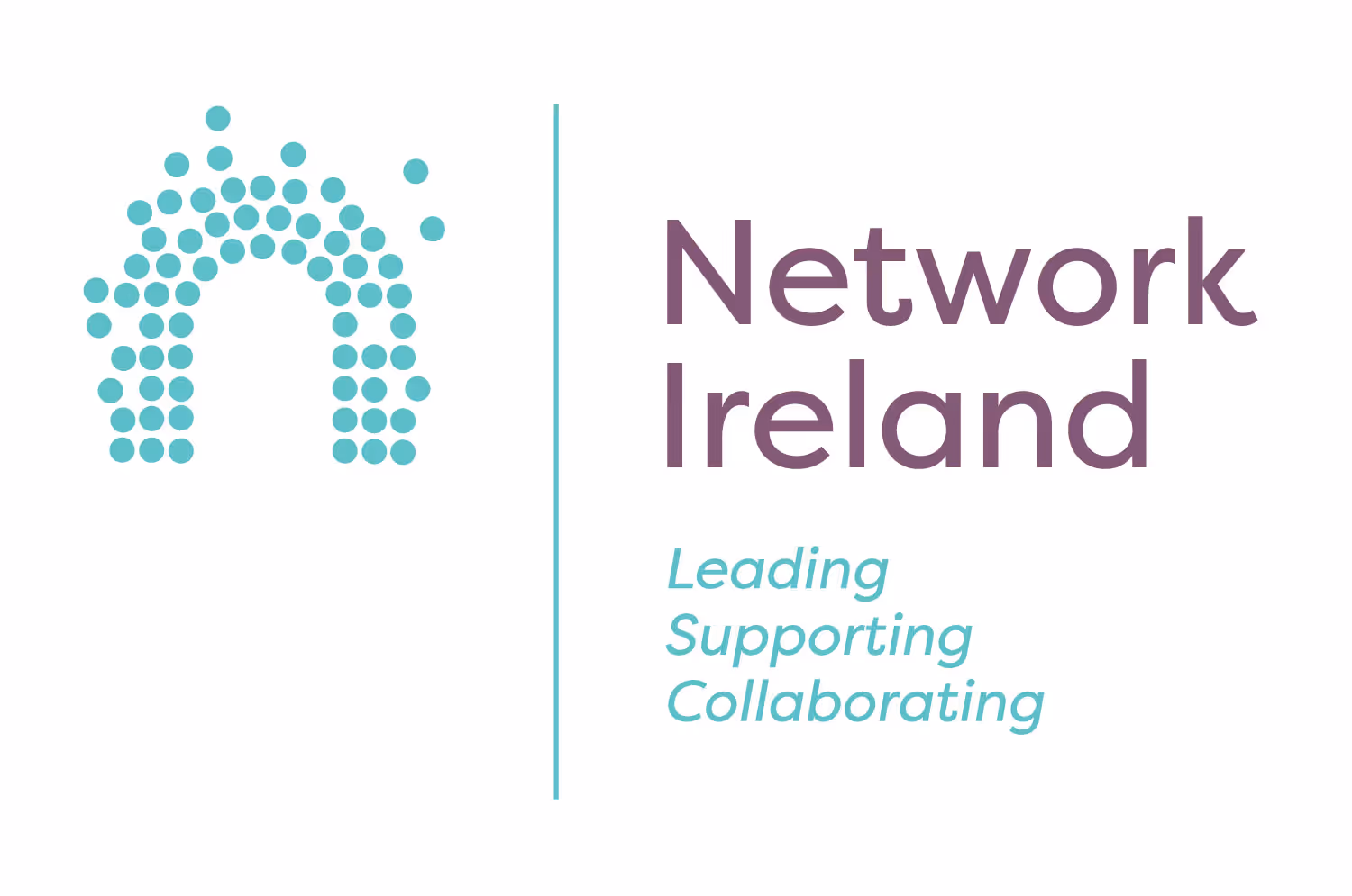 Network Ireland logo