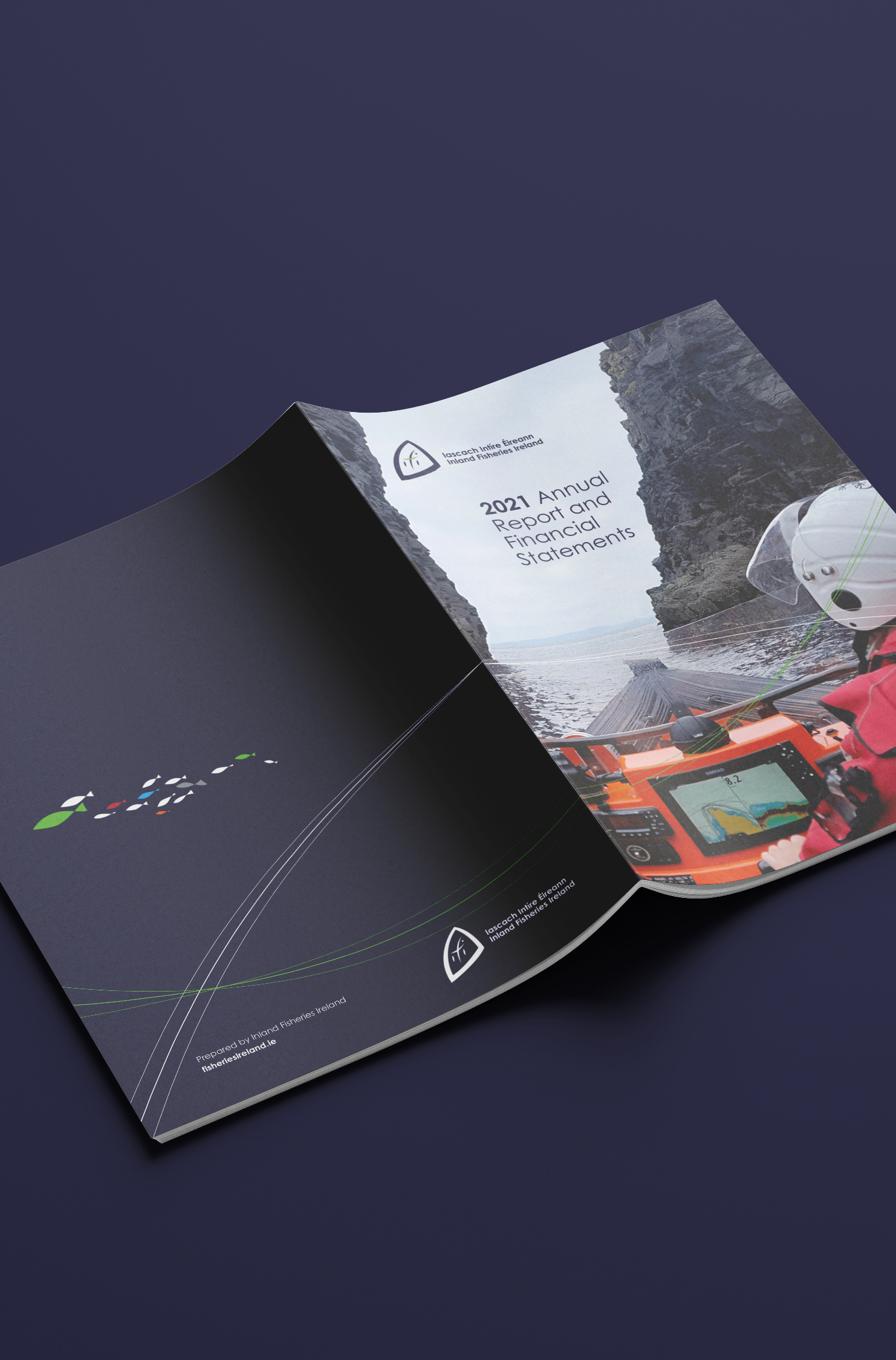 IFI Annual Reports
