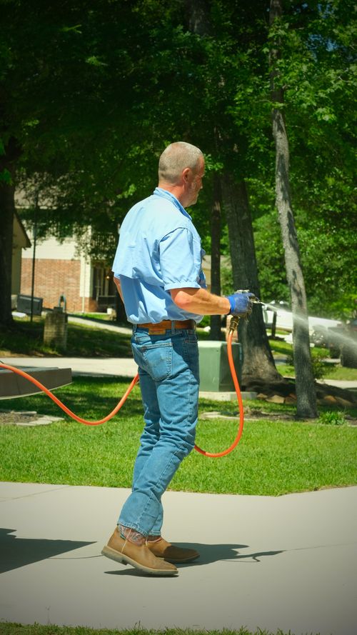 Residential Pest Control Services Willis Texas