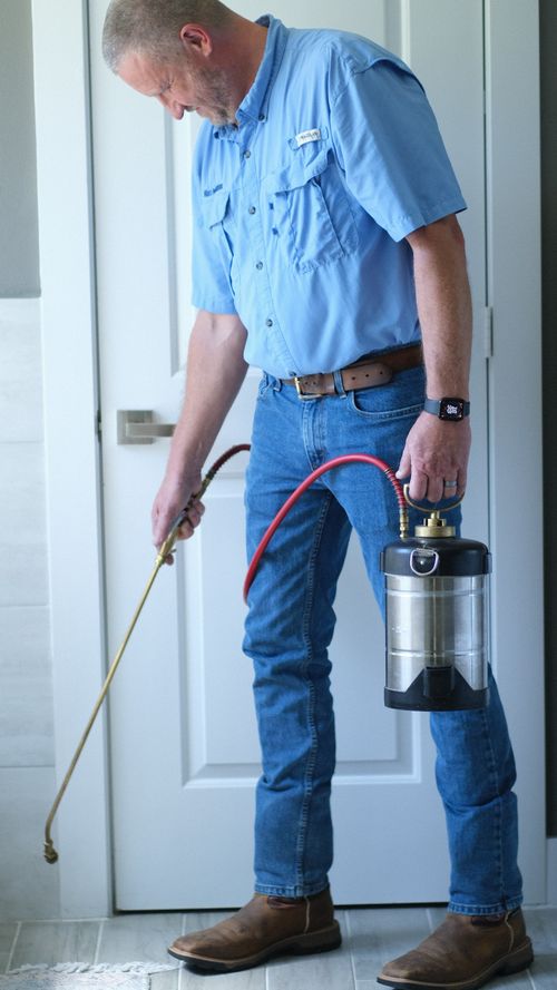 Residential Pest Control Services Willis Texas