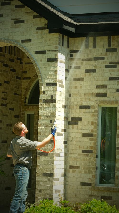 Residential Pest Control Services Willis Texas