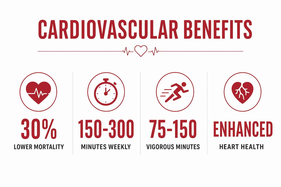 Infographic showing cardiovascular fitness key benefits