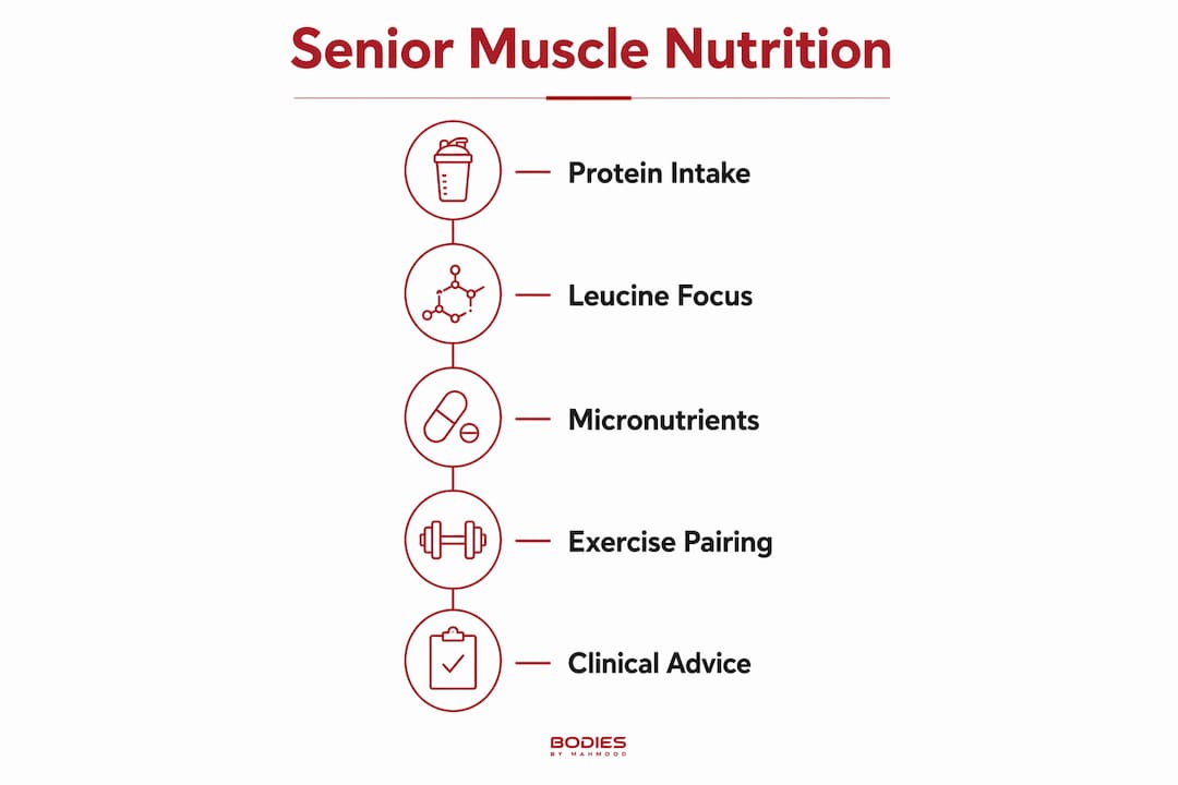 Infographic showing nutrition steps for senior muscle health