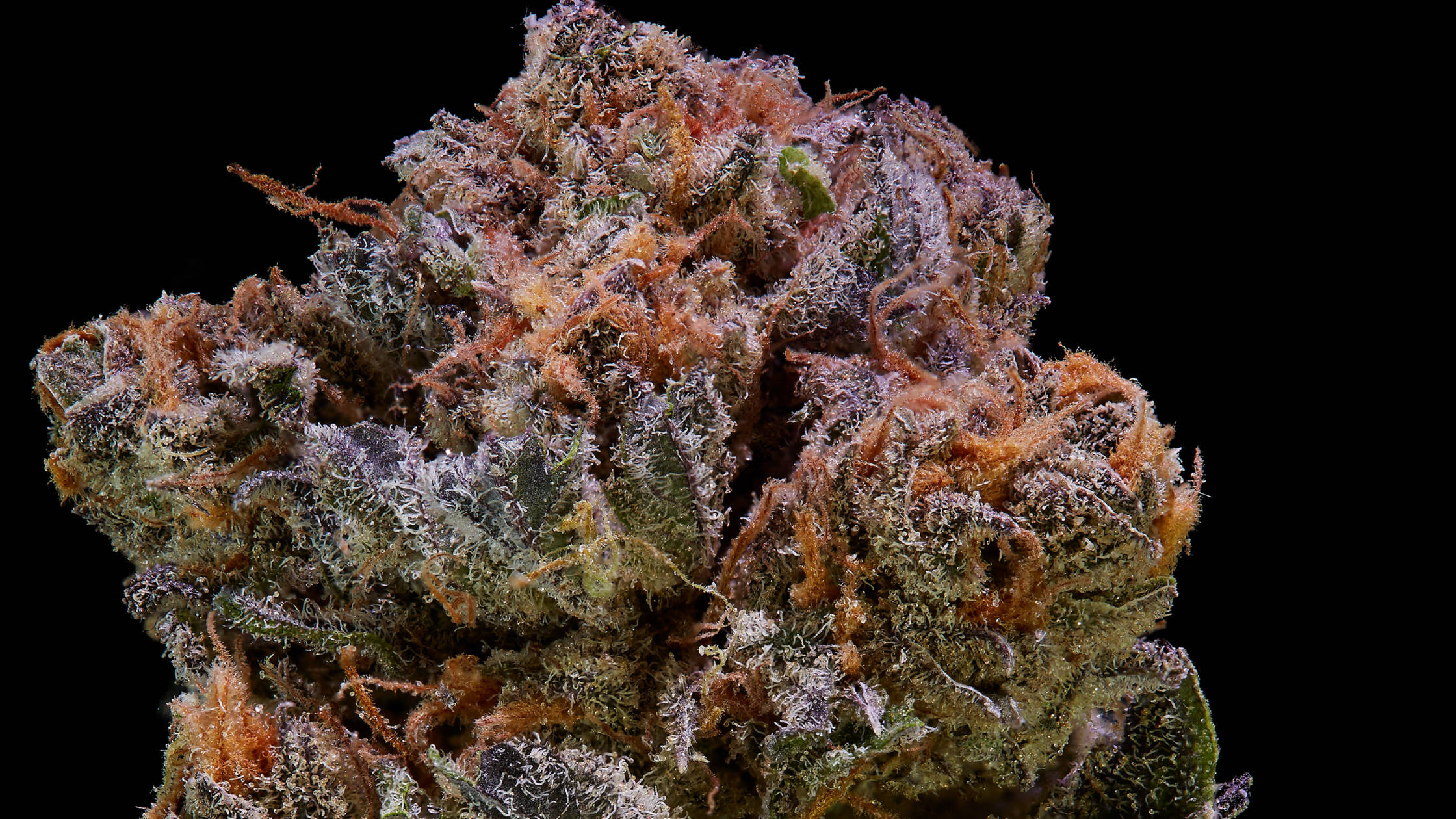 veteran-owned cannabis