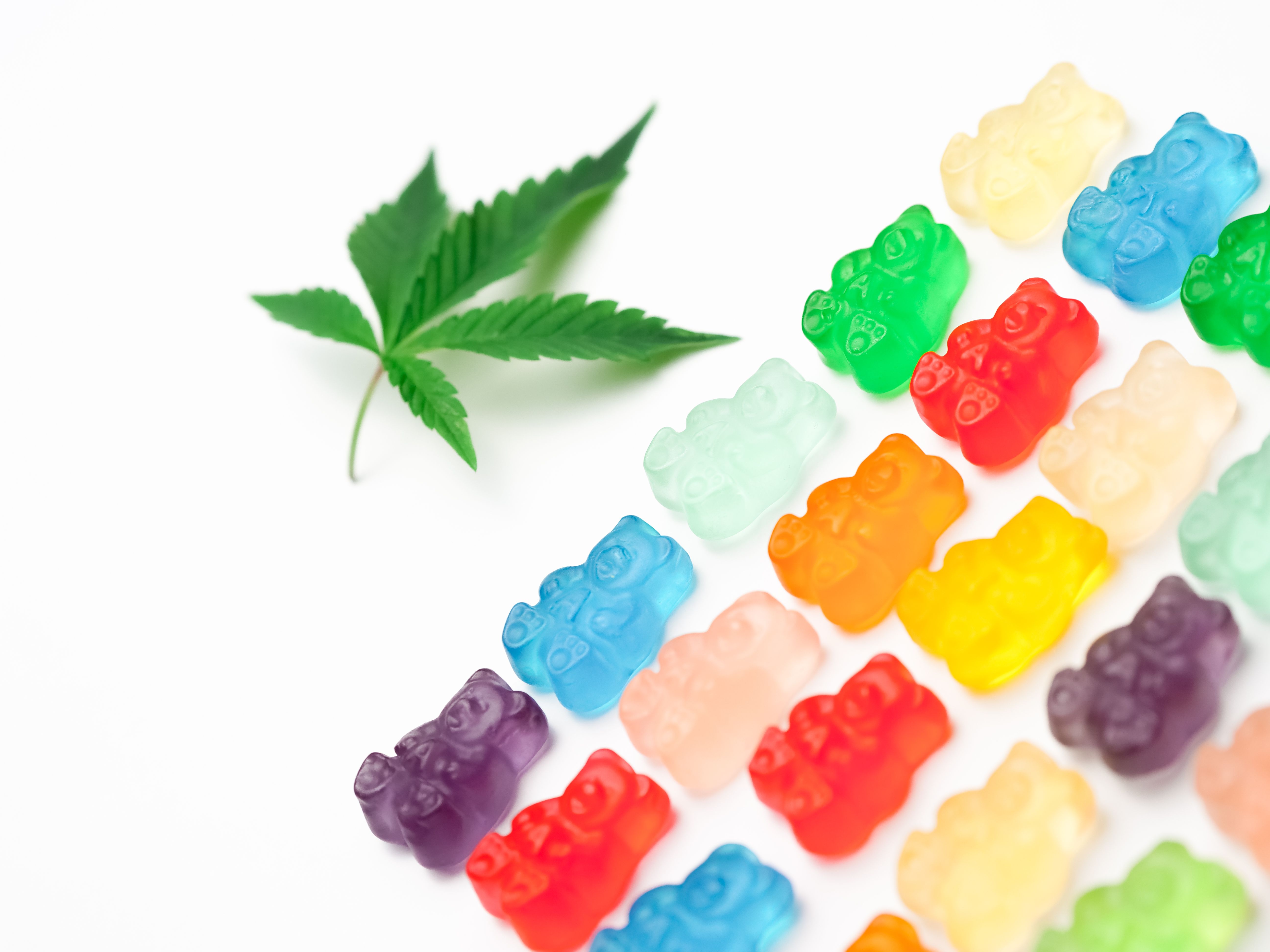 Edibles vs Flower: Which Is Right for You?