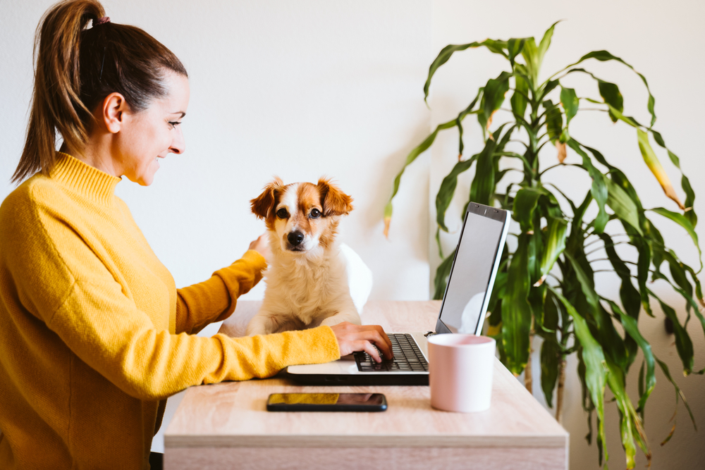 A young woman sits before an open laptop to make her car payment online, her pet dog beside her. 