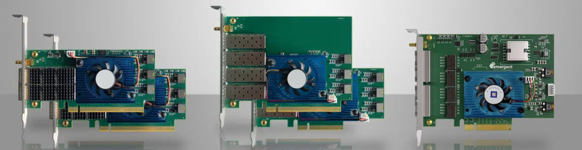 Representative Emergent network interface cards