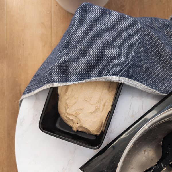 Covered dough in loaf pan.