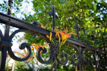 Decorative fence