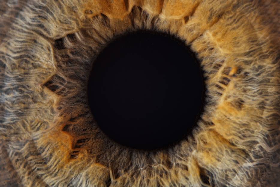 acercamiento a ojo humano