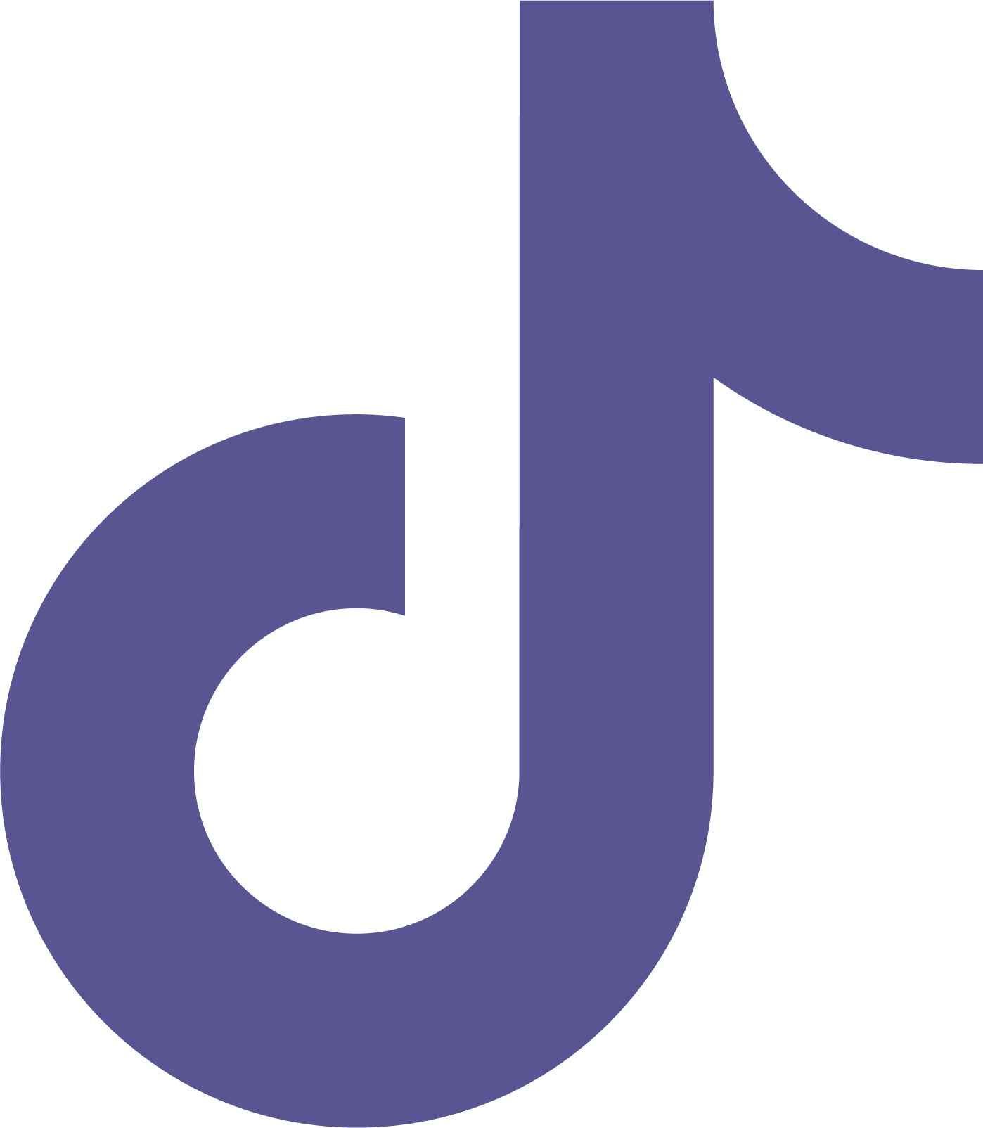 Tiktok icon