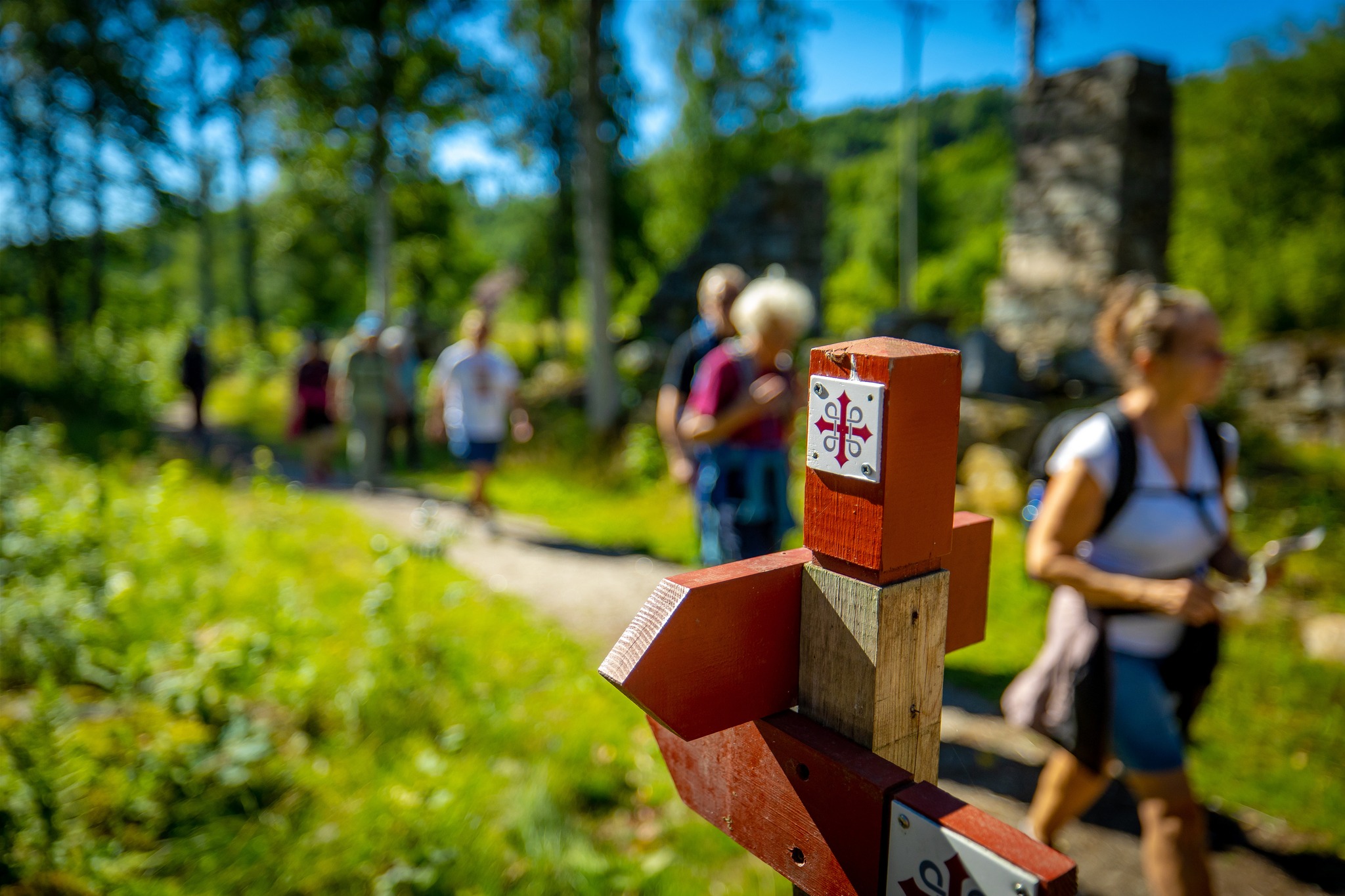 People walking in nature