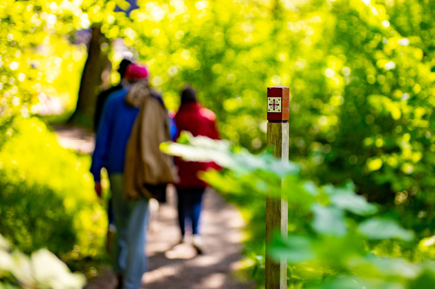 People walking in nature