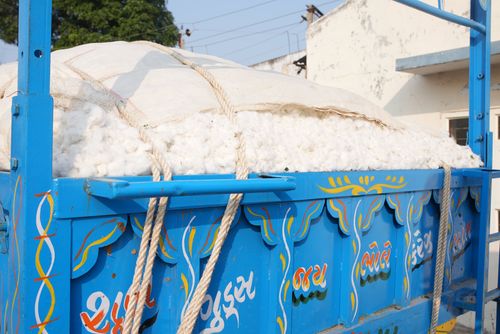 Regenerative Cotton in a bright blue truck