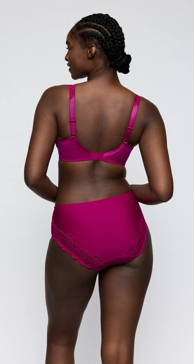 Jenette Bras Belgium PrimaDonna Madison Lace Seamed Full Cup Bra in Pink with Lace High Waist Briefs in Pink from Backside