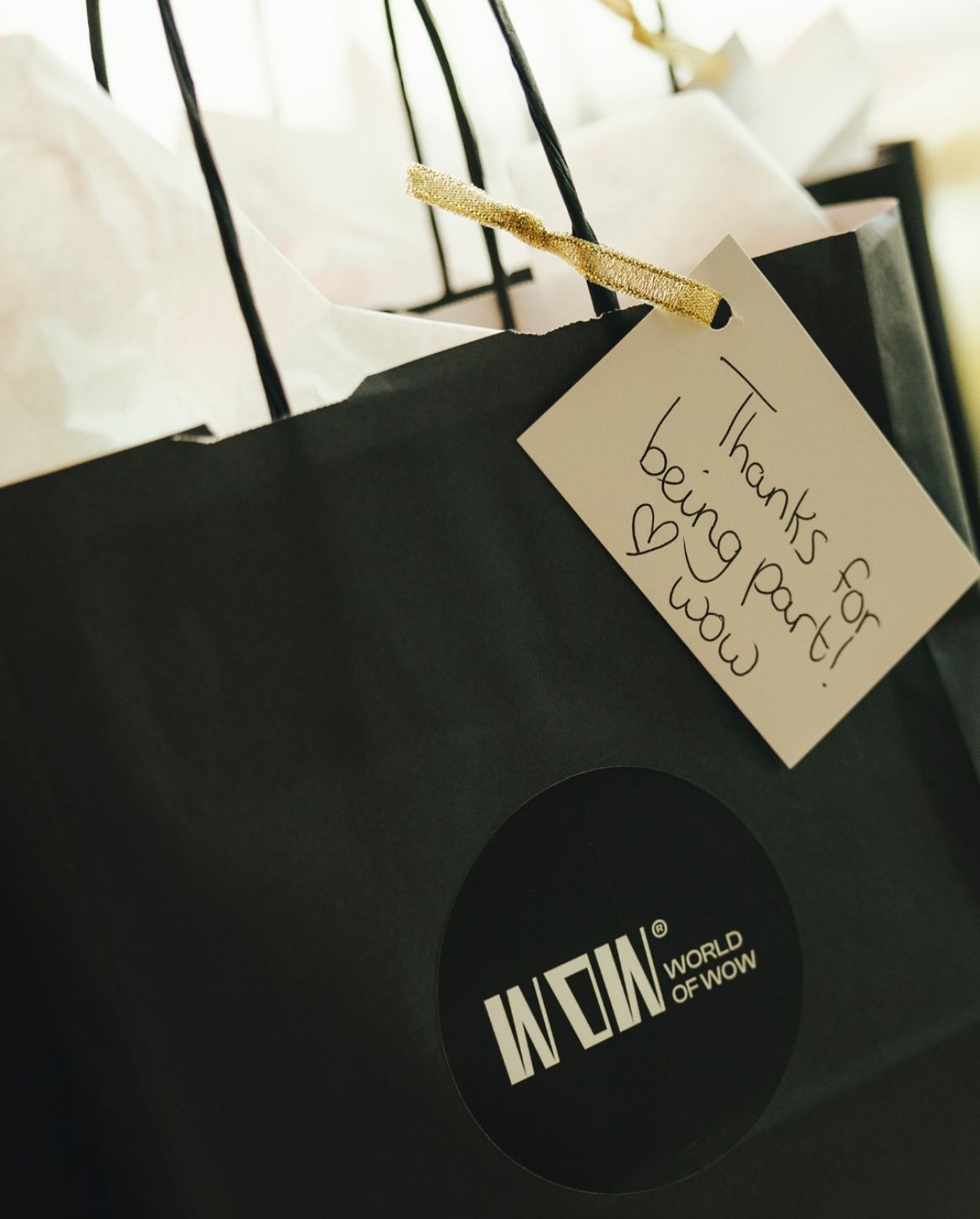 WIR Duurzaam - Laadpalen webwinkel ontwikkeld door aPear