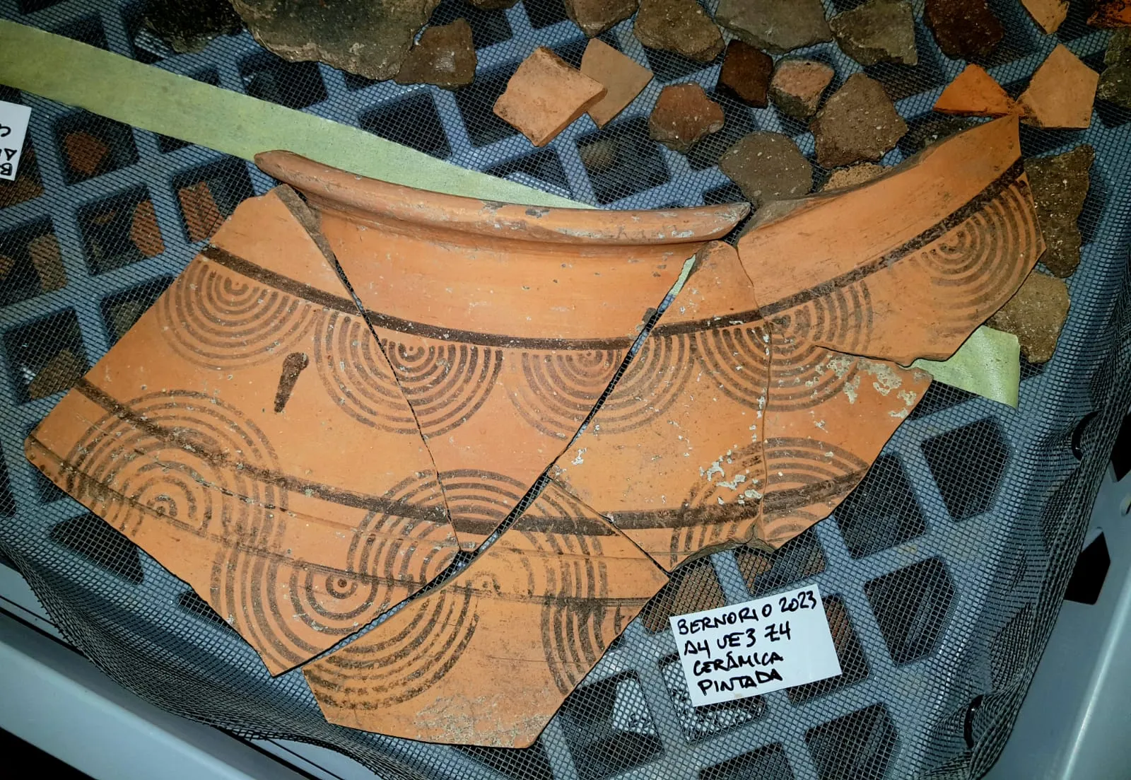 Archeology dig finds