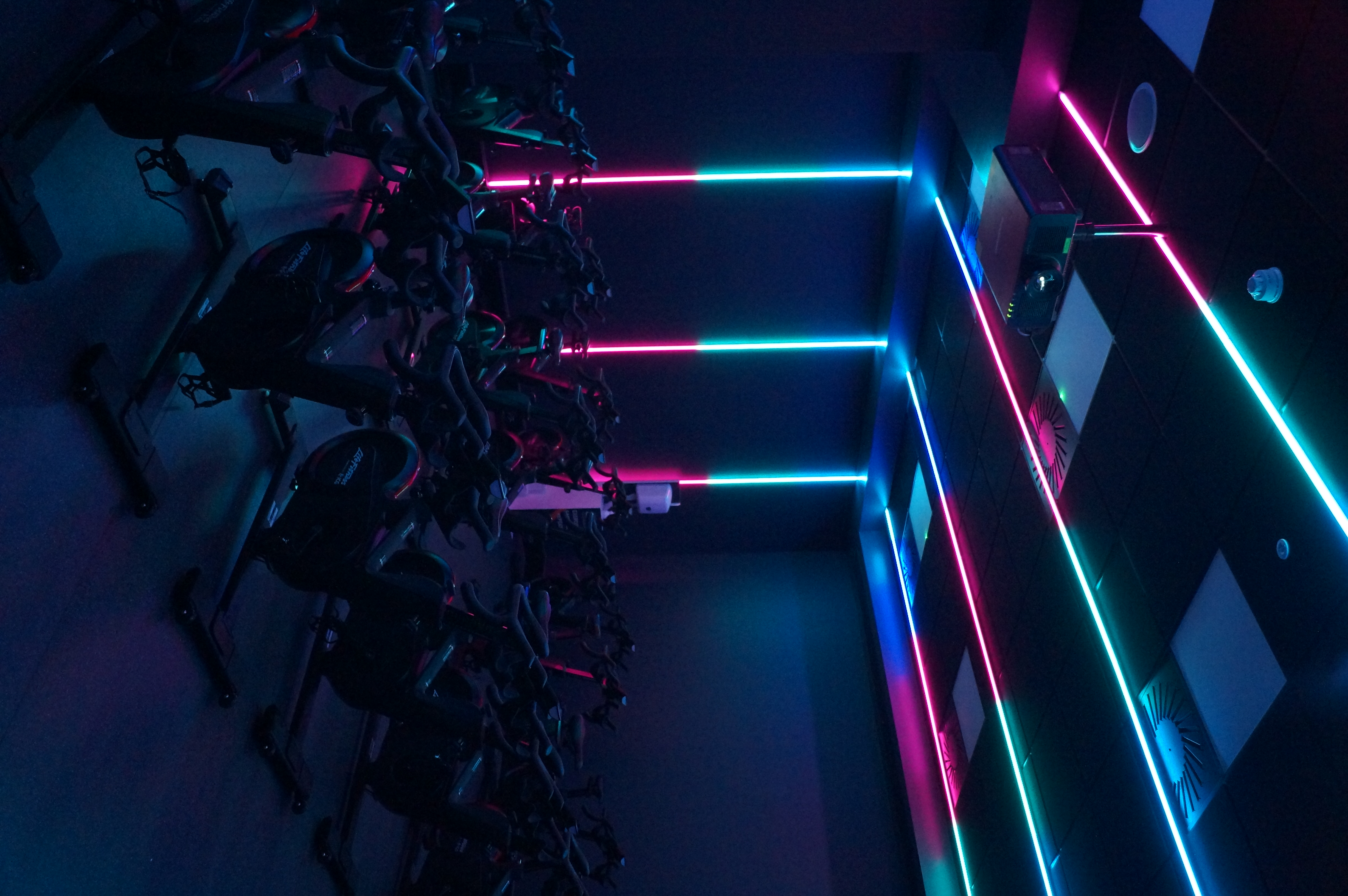 Fitness suite