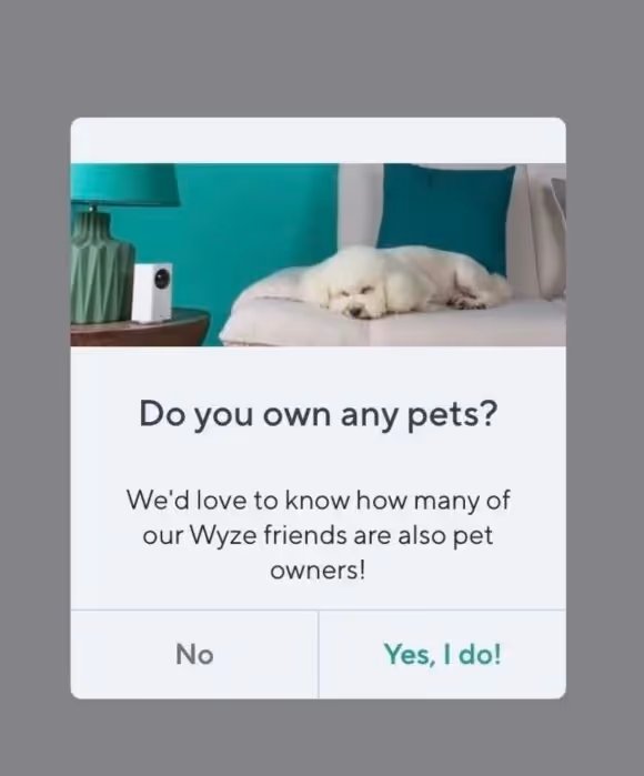 exemplos de pesquisas in app da wyze