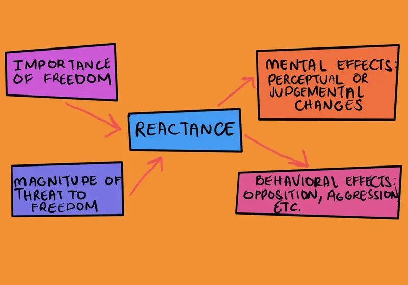 website-walkthrough-Reactance-Theory