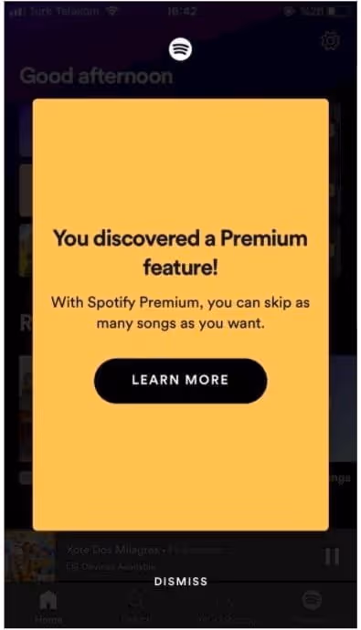 freemium model example spotify
