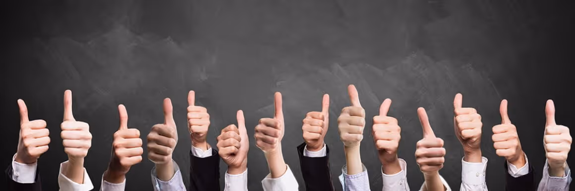 what is employee feedback