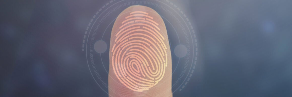 user onboarding experience personalization