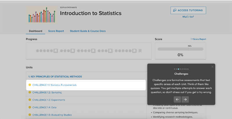 Sophia introduces the important features and UI elements with a product tour.