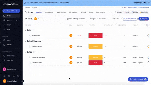 An example opt-in walkthrough from Teamwork.