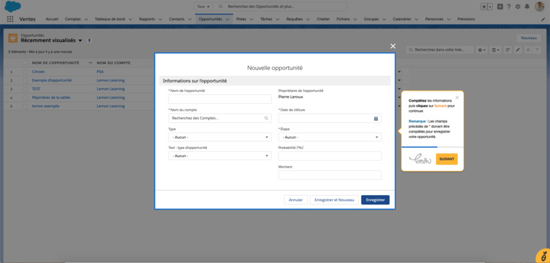 Interactive training example by Lemon Learning