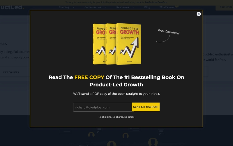 website overlay example - ebook