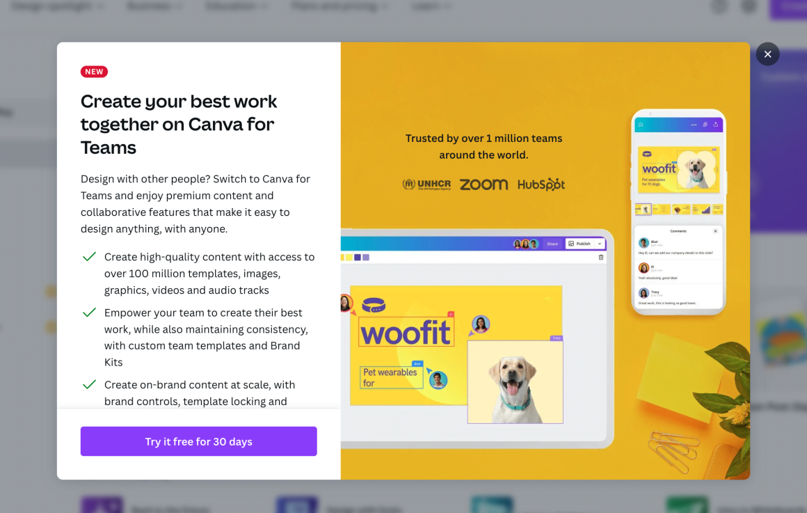 progressive onboarding canva campaign modal