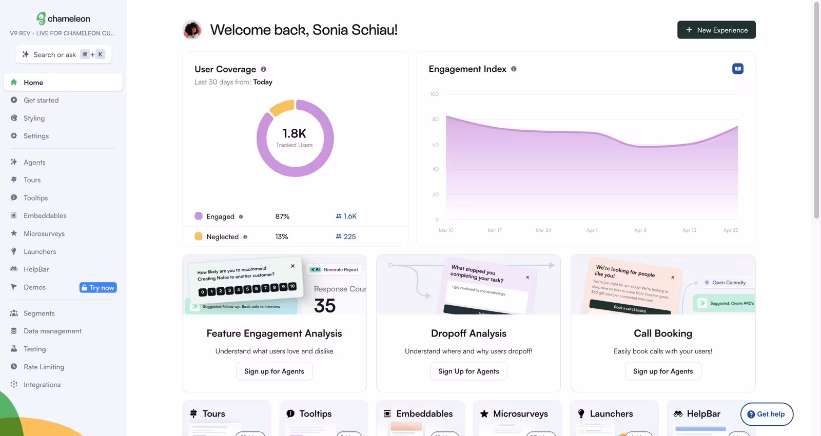 Chameleon's dashboard.