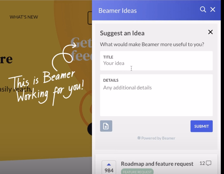 Beamer idea submission widget.
