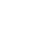 White bee logo design