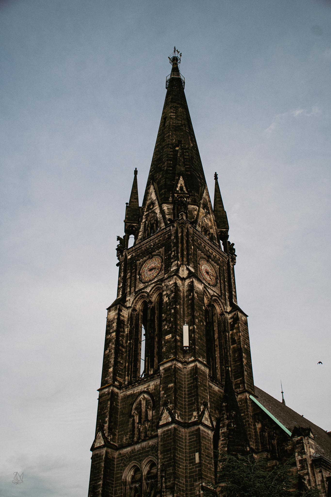 Kirsche-am-Sudstern-1