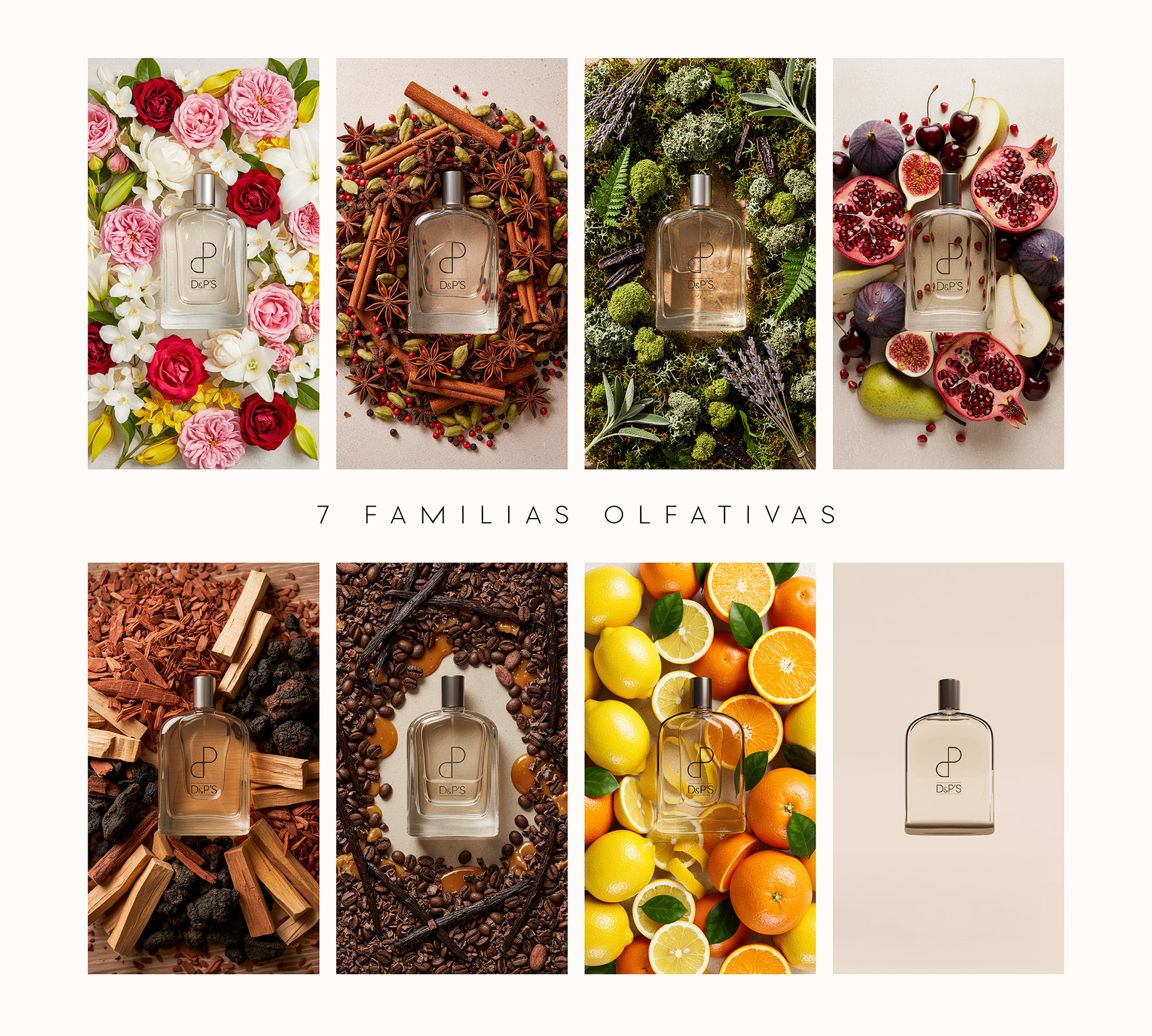 Seven perfume bottles each surrounded by different natural ingredients like flowers, spices, citrus, and wood.