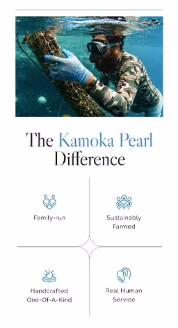 Kamoka Pearl case study results