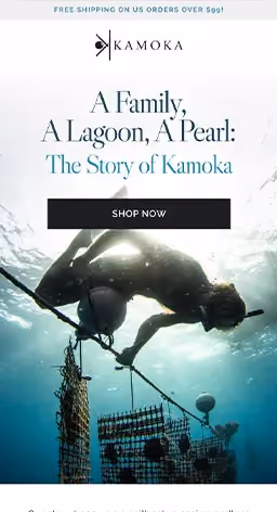 Kamoka Pearl case study results
