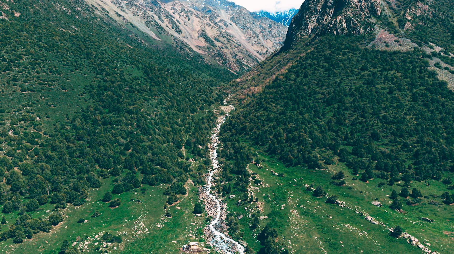 Scenic aerial view of Chunkurchak Valley's lush greenery and rugged mountains in Kyrgyzstan.