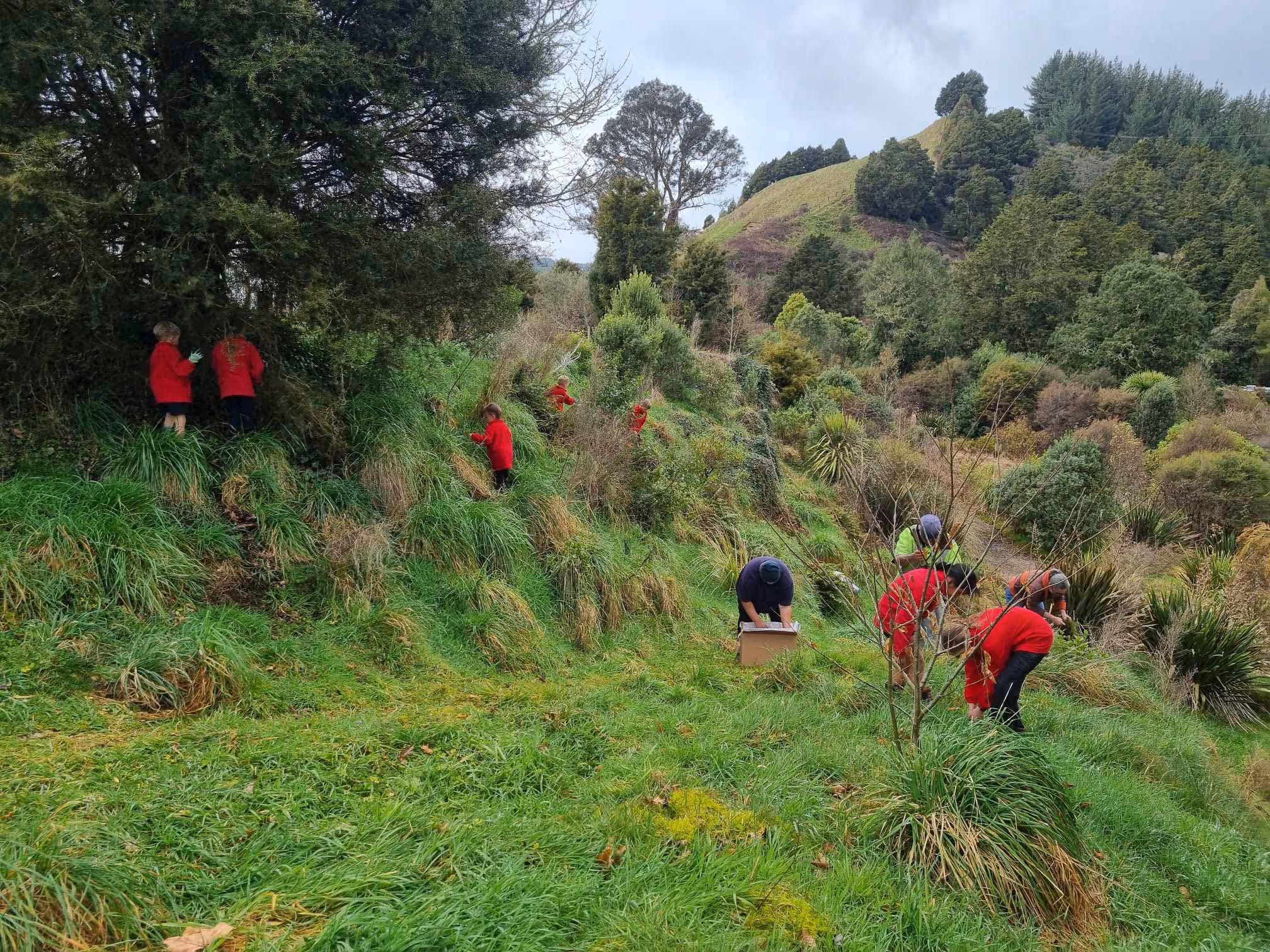 Kaitieke School planting by their wetland.